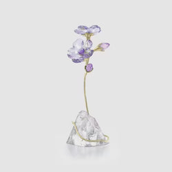 Load image into Gallery viewer, 
