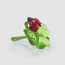 Load and play video in Gallery viewer, Idyllia: Lady Bug Clover
