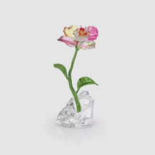 Load and play video in Gallery viewer, Idyllia: Flower Small
