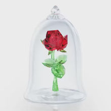 Load and play video in Gallery viewer, Enchanted Rose
