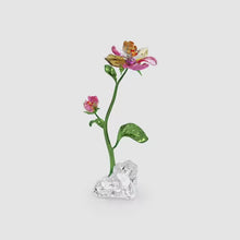 Load and play video in Gallery viewer, Idyllia: Flower Large
