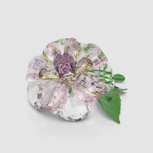 Load and play video in Gallery viewer, Florere: Camellia
