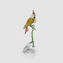 Load and play video in Gallery viewer, Idyllia: Cockatoo
