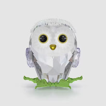 Load and play video in Gallery viewer, Idyllia: Baby Owl
