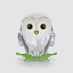 Load image into Gallery viewer, 
