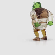 Load and play video in Gallery viewer, Shrek: Shrek
