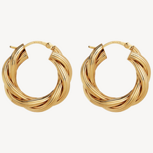 Load image into Gallery viewer, Gold Glamour Hoop Earrings
