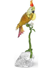 Load image into Gallery viewer, Idyllia: Cockatoo
