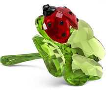 Load image into Gallery viewer, Idyllia: Lady Bug Clover

