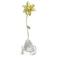Load image into Gallery viewer, Florere: Lily
