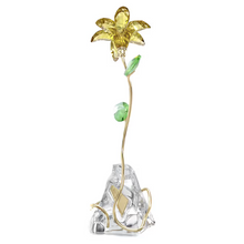 Load image into Gallery viewer, Florere: Lily
