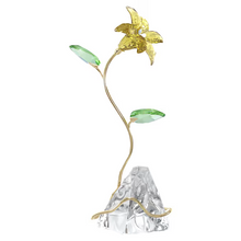 Load image into Gallery viewer, Florere: Lily

