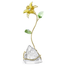 Load image into Gallery viewer, Florere: Lily
