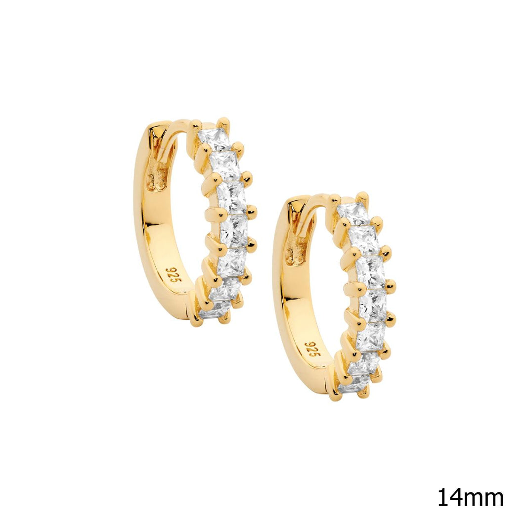 Hoop Earrings