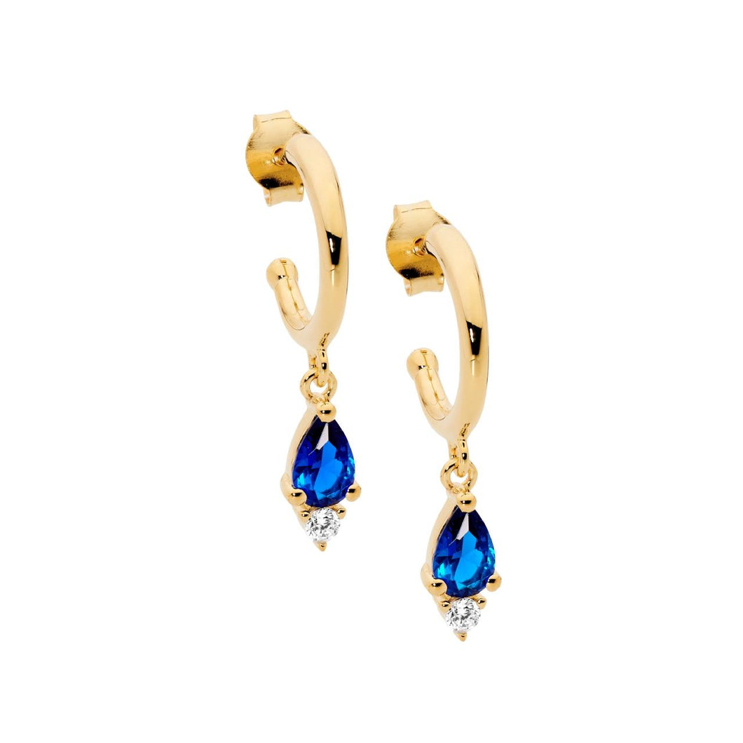 Hoop Earrings