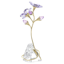 Load image into Gallery viewer, Florere: Rozanne
