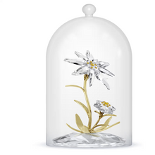 Load image into Gallery viewer, Florere: 130th Anniversary Bell Jar
