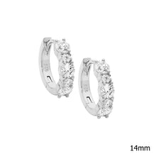 Load image into Gallery viewer, Hoop Earrings
