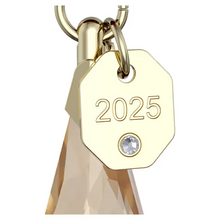 Load image into Gallery viewer, Annual Edition: Festive Ornament 2025

