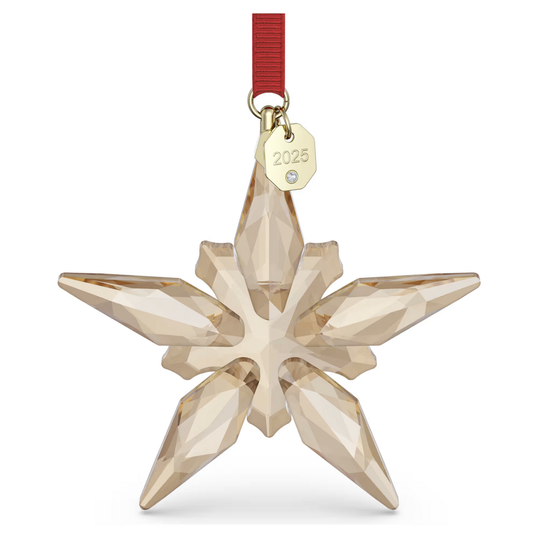 Annual Edition: Festive Ornament 2025