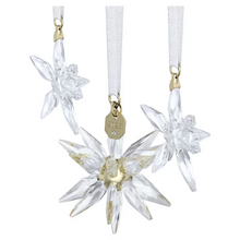 Load image into Gallery viewer, Annual Edition: 3D Ornament Set 2025

