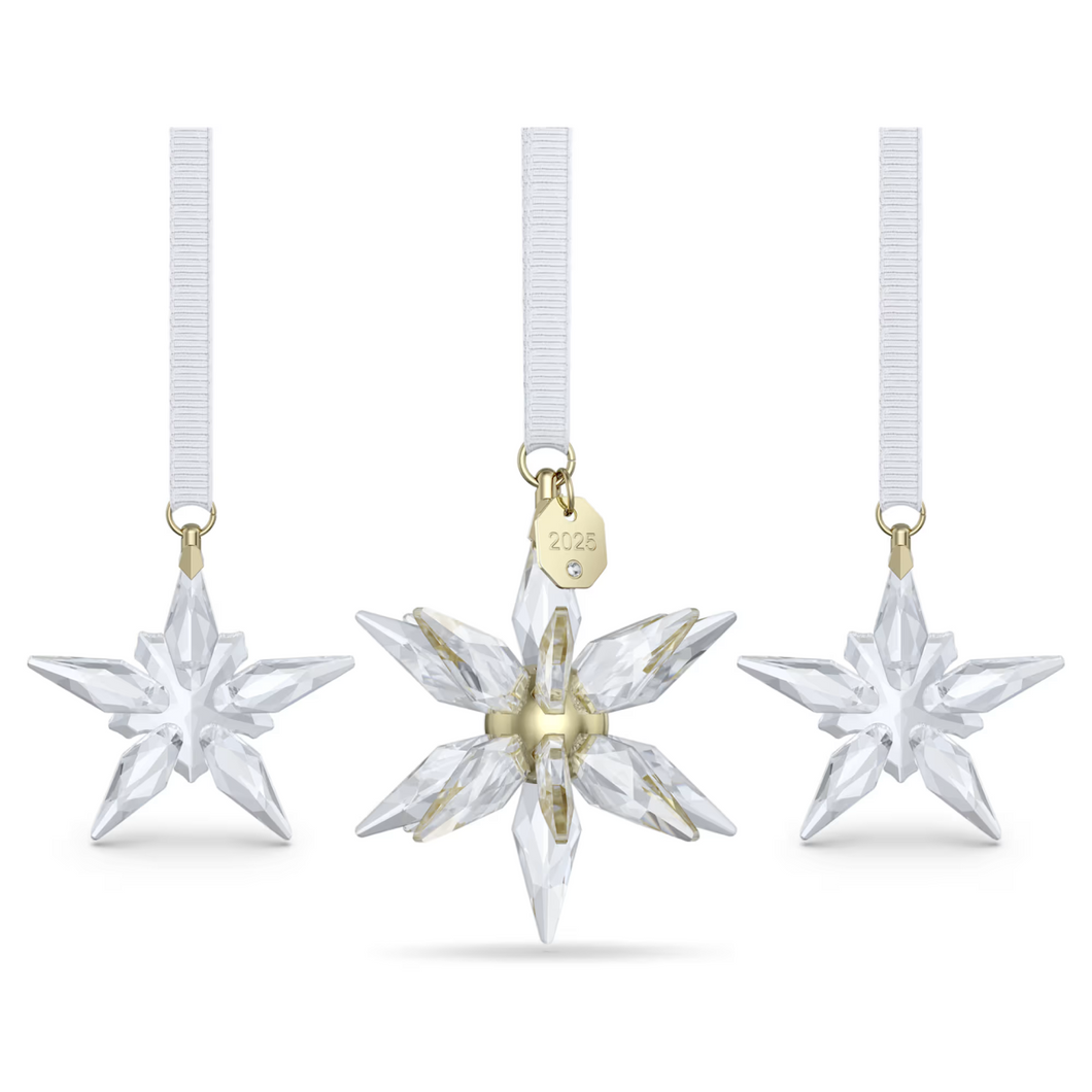 Annual Edition: 3D Ornament Set 2025