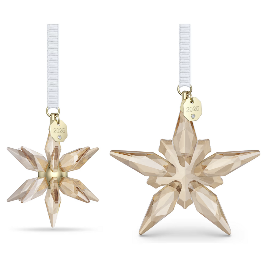 Annual Edition: Festive 3D Ornament Set 2025