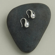Load image into Gallery viewer, Eau Earrings
