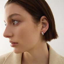 Load image into Gallery viewer, Carrousel Huggie Earrings
