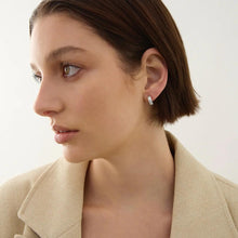 Load image into Gallery viewer, Carrousel Huggie Earrings
