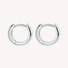 Load image into Gallery viewer, Carrousel Huggie Earrings
