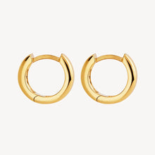 Load image into Gallery viewer, Carrousel Huggie Earrings

