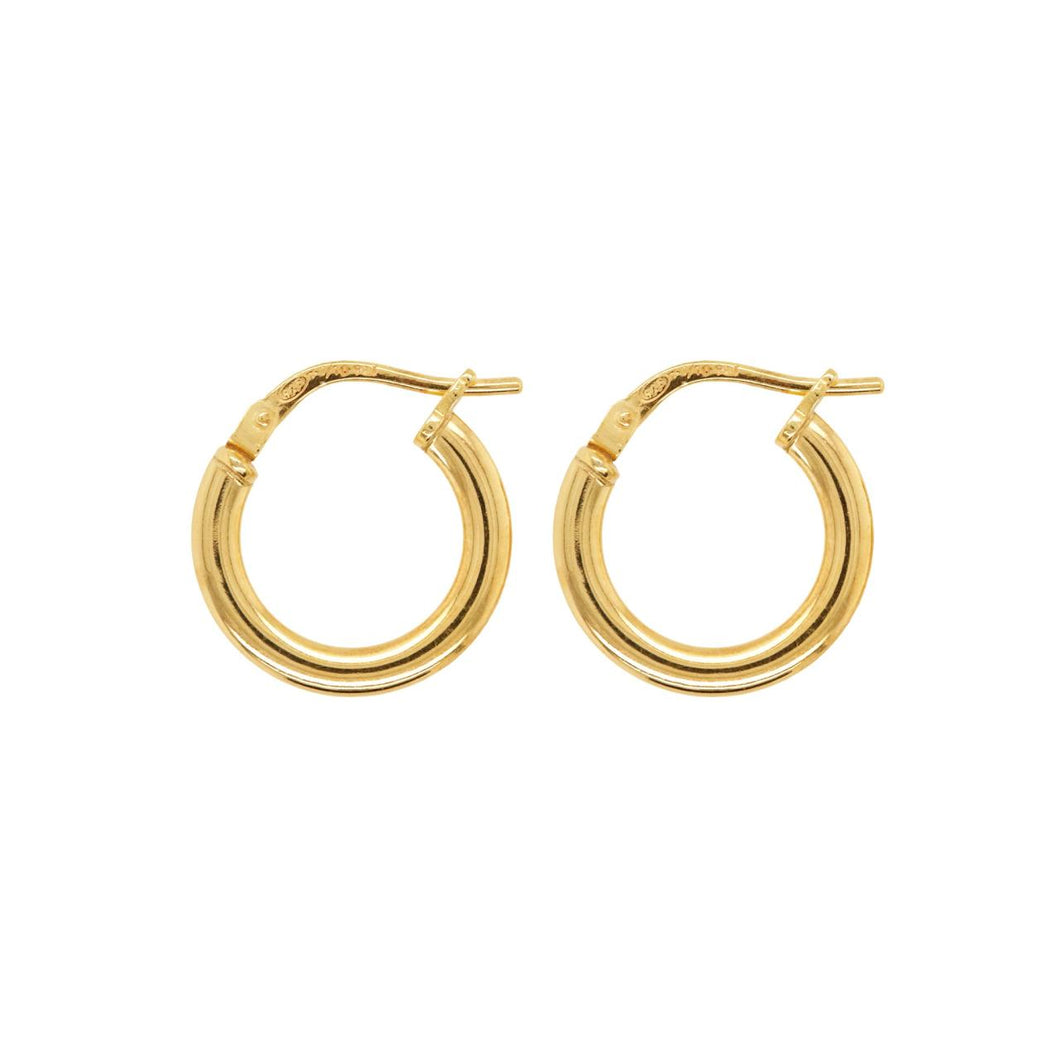 9ct Yellow Gold SF Hoop Earrings