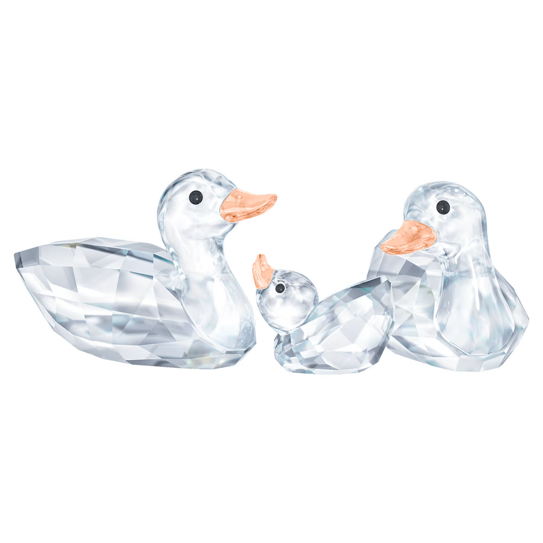 The Peaceful Countryside: Ducks