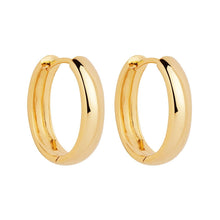 Load image into Gallery viewer, Yellow Gold Plated Silver Oval Huggie Earrings
