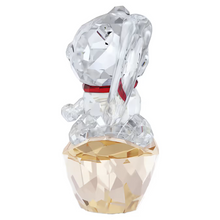 Load image into Gallery viewer, Asian Symbols: Lucky Cat
