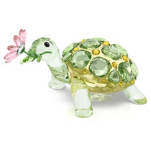 Load image into Gallery viewer, Idyllia: Tortoise &amp; Daisy

