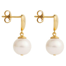 Load image into Gallery viewer, Hanging Pearl Earrings
