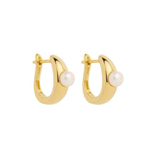 Load image into Gallery viewer, Tropica Pearl Earring
