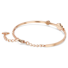 Load image into Gallery viewer, Symbolica Bangle
