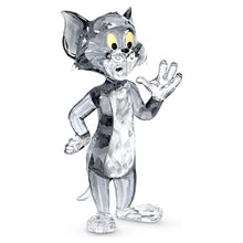 Load image into Gallery viewer, Tom &amp; Jerry - Tom
