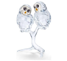 Load image into Gallery viewer, Owl Couple
