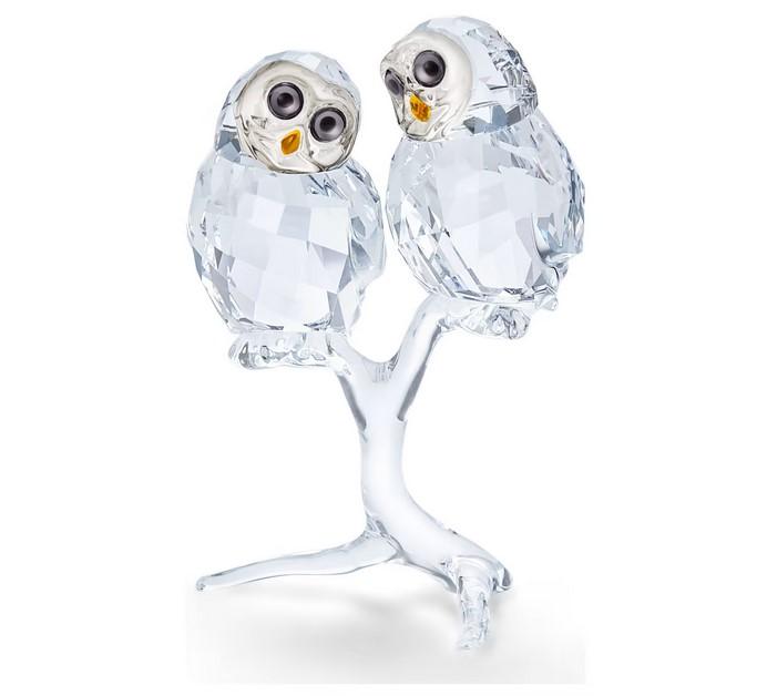 Owl Couple