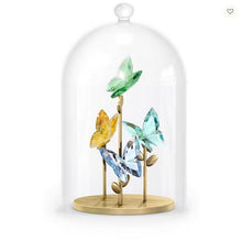Load image into Gallery viewer, Jungle Beats:  Butterfly Bell Jar
