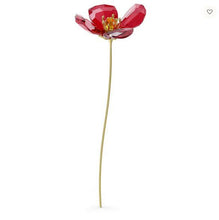 Load image into Gallery viewer, Garden Tales: Red Poppy
